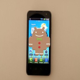 Gingerbread dolazi na LG Optimuse