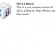 Beta Apple iOS sustava 5.1 ide programerima